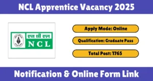 NCL Apprentice Vacancy 2025