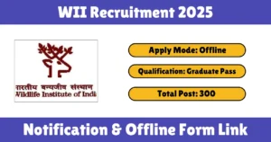 WII Recruitment 2025.png