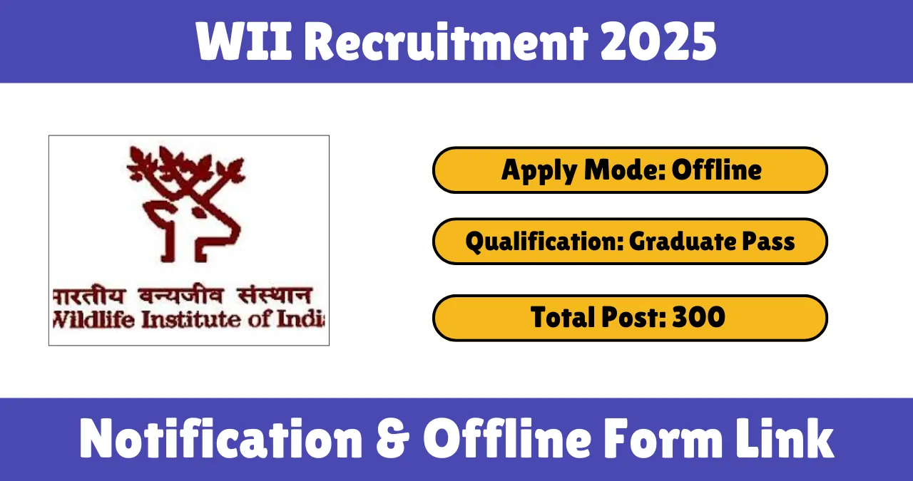 WII Recruitment 2025.png