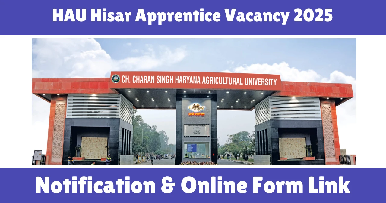 HAU Hisar Apprentice Vacancy 2025